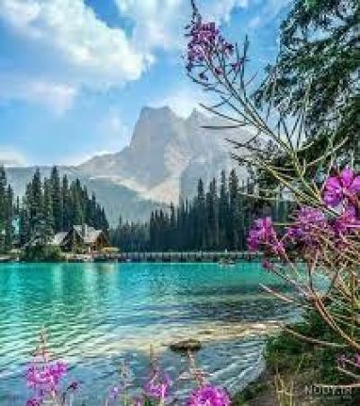 تصویر مسابقه