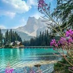 عکس چقدر شبیه جونگ کوک بی تی اس هستید
