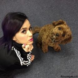 عکس ادیت کیتی پری