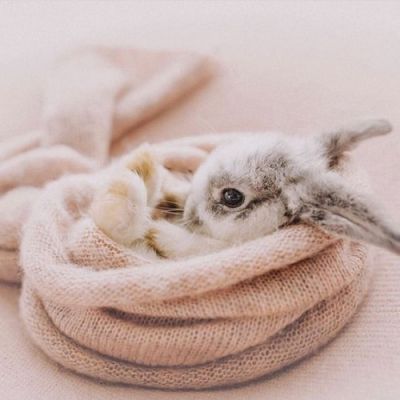 تصویر مسابقه
