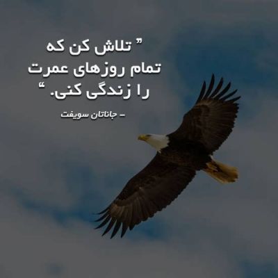 تصویر مسابقه