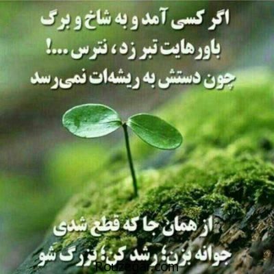 تصویر مسابقه
