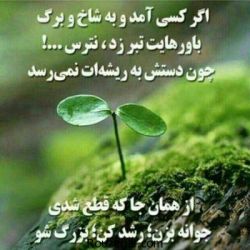 عکس متن انگیزشی🍃