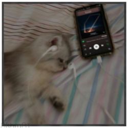 عکس مسابقه داریم😁🤍