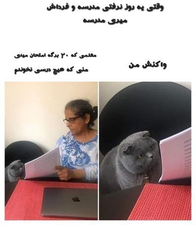 عکس
