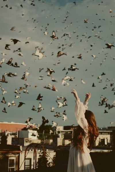 تصویر مسابقه
