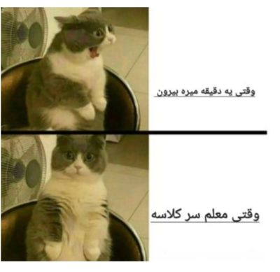 تصویر مسابقه
