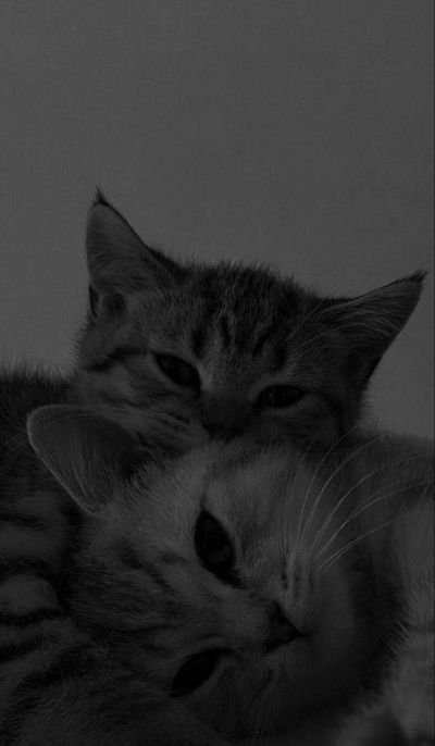 تصویر مسابقه