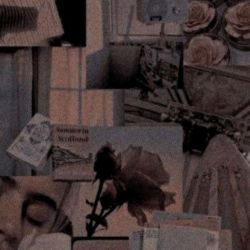 عکس حقیقت