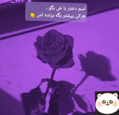 تصویر مسابقه