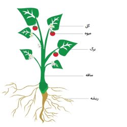 عکس نقاشی طبیعت سالم یا ناسالم