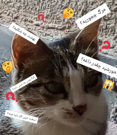 عکس
