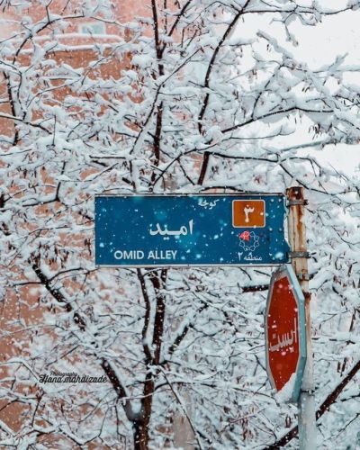 عکس