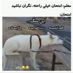 عکس امتحانات...