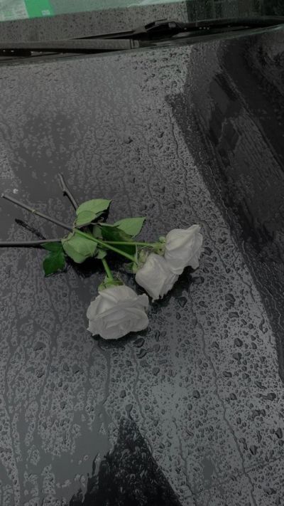 تصویر مسابقه