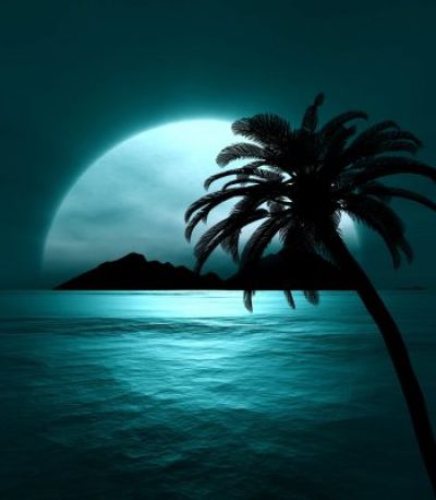 تصویر مسابقه