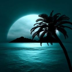 عکس بنظرت چه جمله ای میتونه تورو توصیف کنه؟