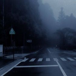 عکس گمشدی کی میاد دنبالت تا پیدات کنه؟ با دلیل