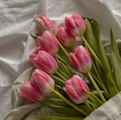 تصویر مسابقه