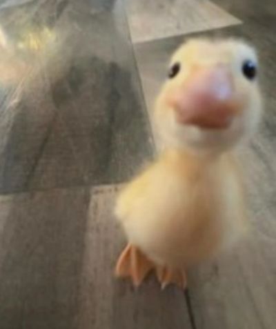 تصویر مسابقه