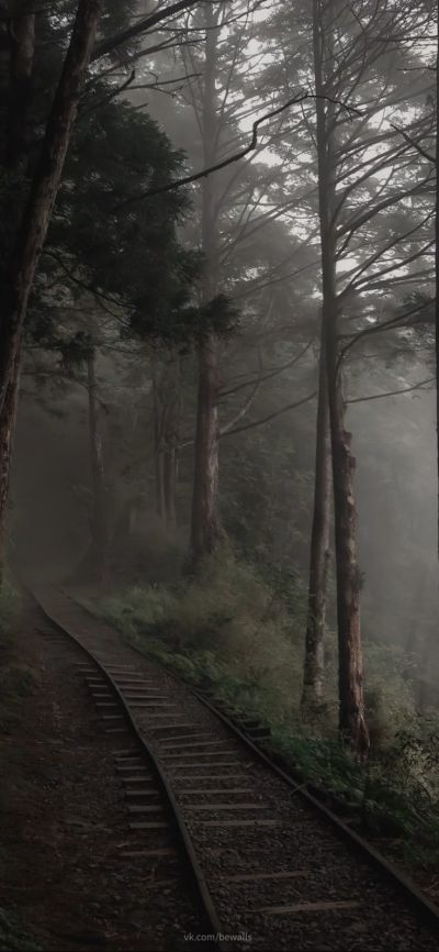 تصویر مسابقه