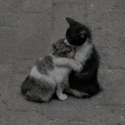 تصویر مسابقه