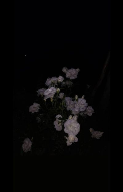 تصویر مسابقه