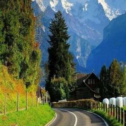 عکس زیبا ترین آهنگ ایرانی درباره طبیعت را معرفی کن