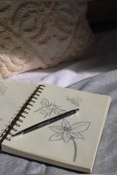 تصویر مسابقه