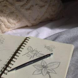 عکس به نظر تو خلاقیت یعنی چی؟