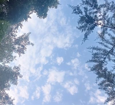تصویر مسابقه