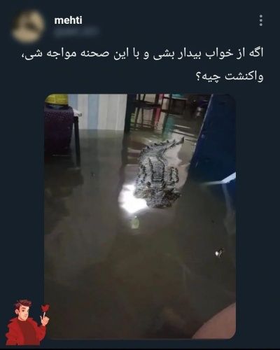 تصویر مسابقه