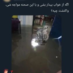 عکس واکنشت رو بگو
