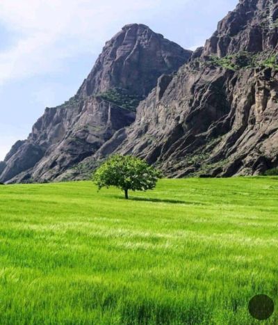 تصویر مسابقه