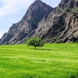 عکس کدوم صدا...