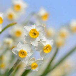 عکس برای شروع یک روز شاد...؟
