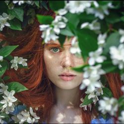 عکس بو های خاص؟