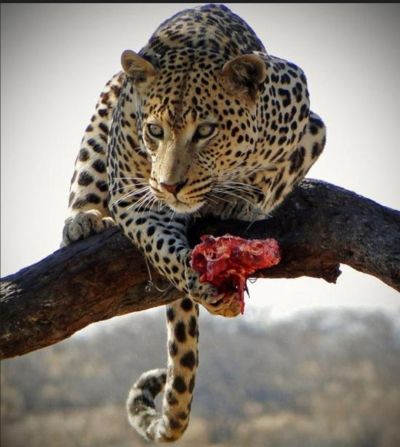 تصویر مسابقه