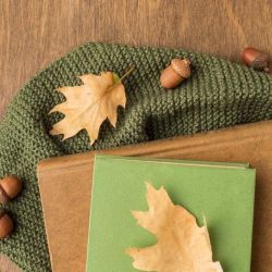 عکس تبدیل به وسیله