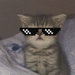 عکس مسابقه مهم