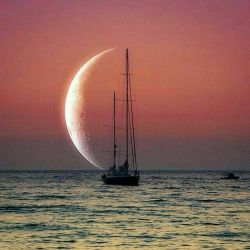 عکس اگر بتونی تناسخ کنی