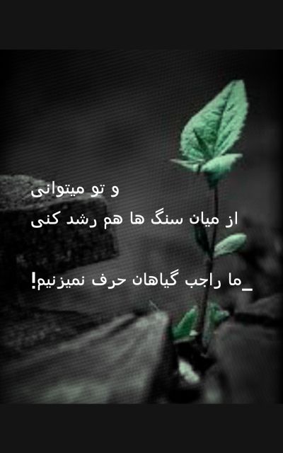 تصویر مسابقه