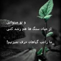 عکس بهتربن جمله ی انگیزشی