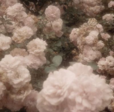 تصویر مسابقه