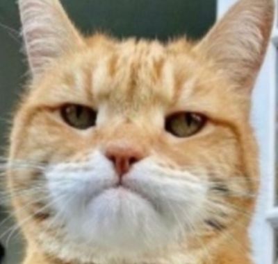 تصویر مسابقه