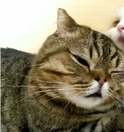 تصویر مسابقه