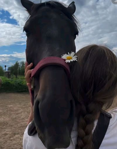 تصویر مسابقه