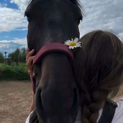 عکس یک مهر چه حسی داشتین....