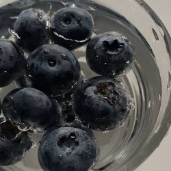 عکس اگر پول مهم نبود...