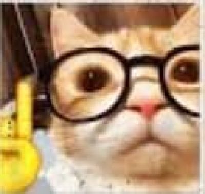 تصویر مسابقه